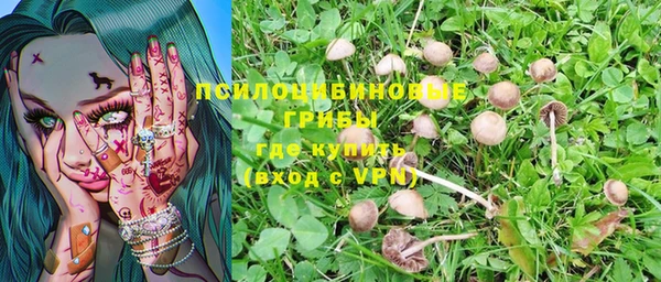 бошки Лагань