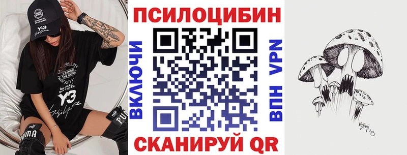 Псилоцибиновые грибы мухоморы  купить наркотики цена  Чёрмоз 