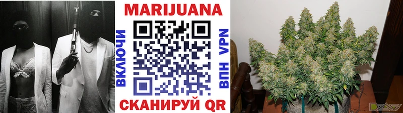 Марихуана сатива  Чёрмоз 